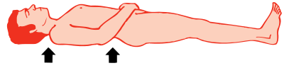 place pads to fill and support the hollows of the spine at the small of the back and at the neck